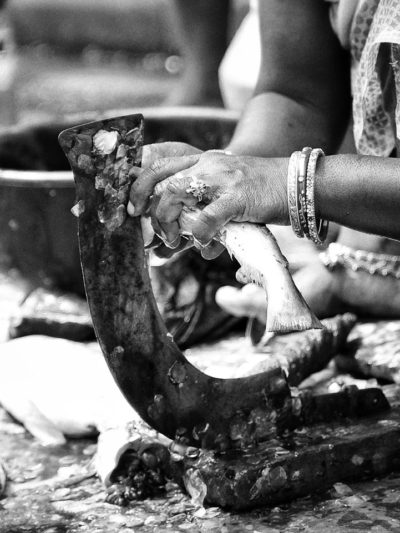 Hands at Work – Satyaki Sarkar