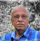 Umesh K Dubey