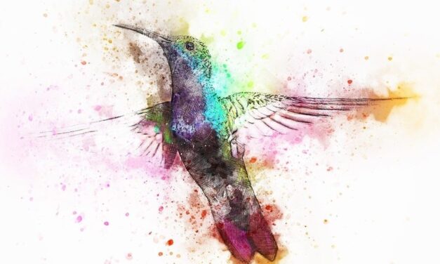 Away With The Birds— Murat Yurdakul