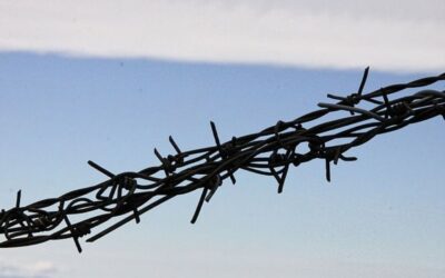 The Edges Of Love— Shaheen Akhtar