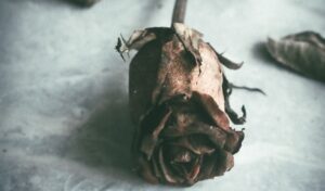 Six Turkish poems by Behçet Necatigil
