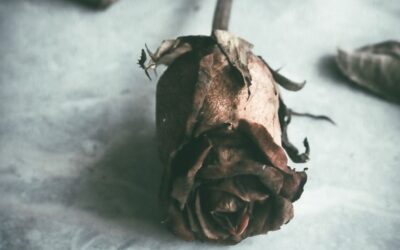 Bone & Other Poems— Behçet Necatigil