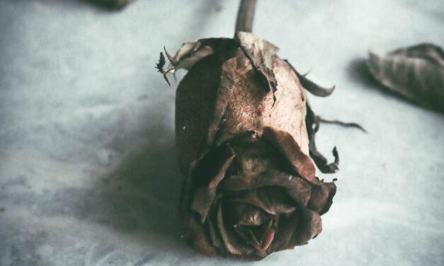 Bone & Other Poems— Behçet Necatigil
