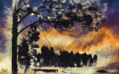 Exploring New Urdu Writings— Shams Afif Siddiqui