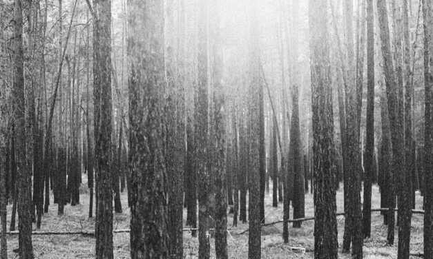 The Sal Tree Or An Occult Narrative— Satadal Mitra