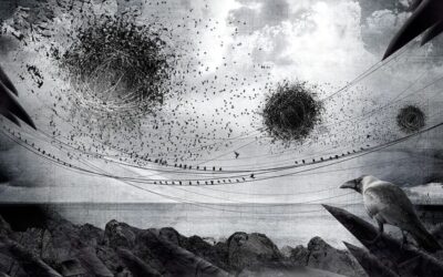 A Chronicle That Is A Prophesy— Ankita Bose