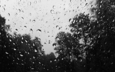 The Downpour & Other Poems— Annelisa Alleva