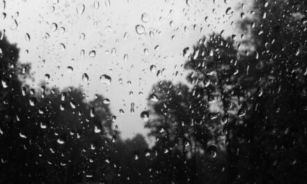 The Downpour & Other Poems— Annelisa Alleva