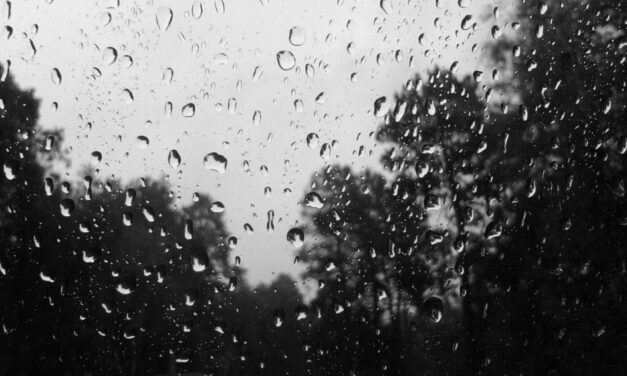 Italian poems with imageries of rain by Annelisa Alleva