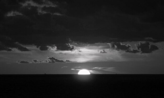 Six hopeful French poems about nature and humans by Tanella Boni