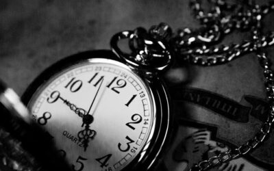 The Past Indefinite & Other Poems— Lidija Dimkovska
