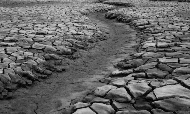 The Crier— Swapnamoy Chakraborty