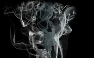 Fragrance— Dr. Kamal Kumar