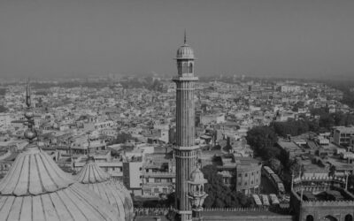 An Ode To Resistance— Anandi Kar