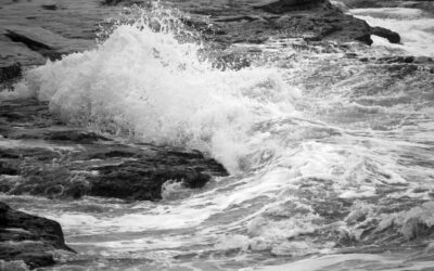 The Wave Seller & Other Stories— Abhijit Bera