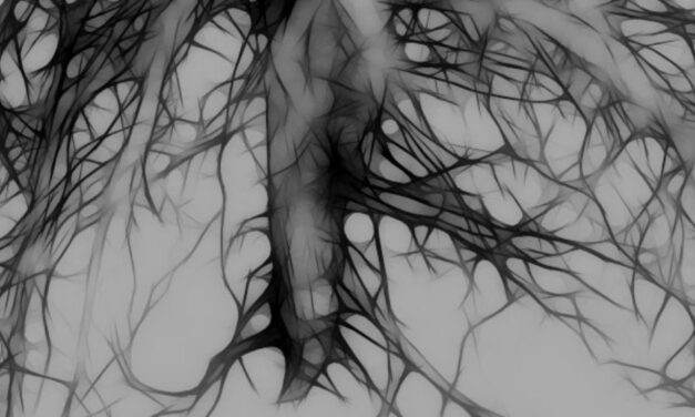 My Mother & Other Poems— Kokouvi Dzifa Galley