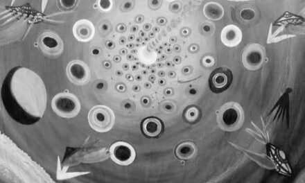 The Three Body Problem— Soham Guha
