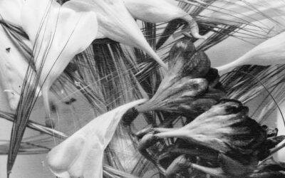 A Writer’s Joy and Other Poems—Akhmet Baitursynuly