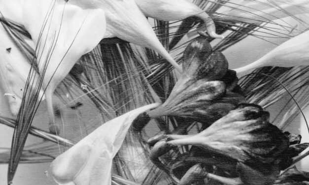 A Writer’s Joy and Other Poems—Akhmet Baitursynuly