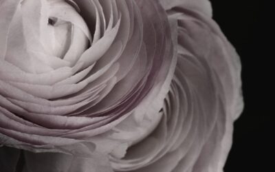 Faith— Chandra Kishore Jayaswal