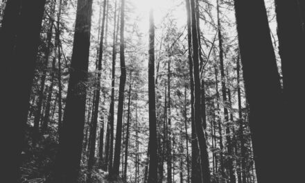 The Dark Forest— Soham Guha