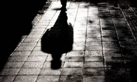 The Reality of Shadows— Maja Haderlap