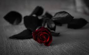 two-hindi-poems-kavita-bhatt