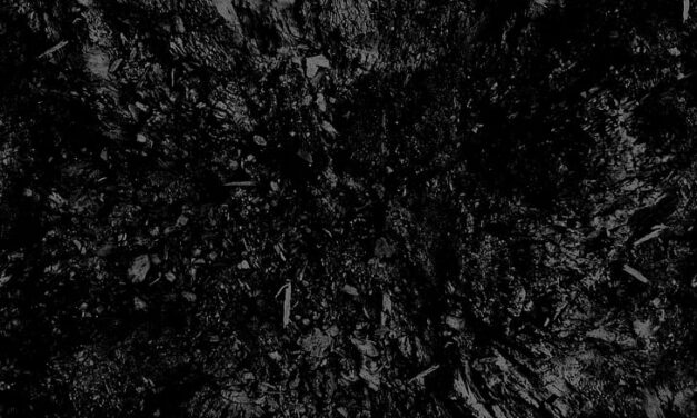 Silence— Mikica Pindzo