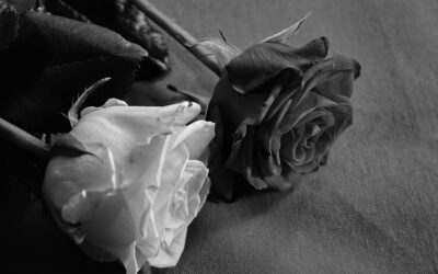 Two Hindi Poems— Kavita Bhatt