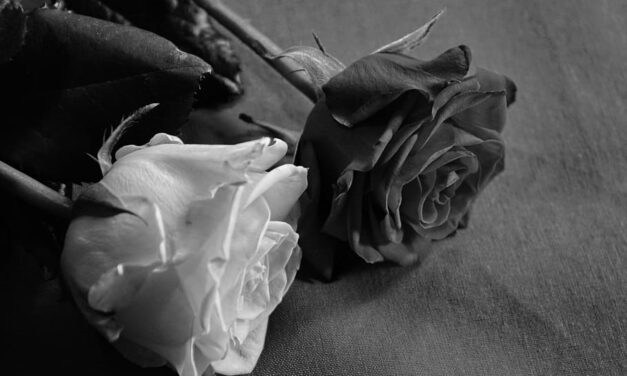Two Hindi Poems— Kavita Bhatt