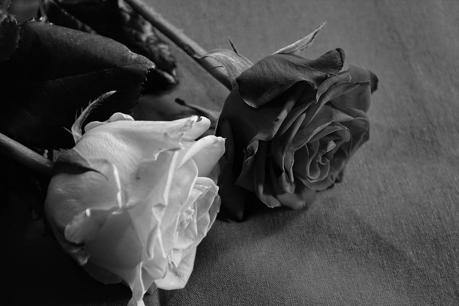 two-hindi-poems-kavita-bhatt-hindi-love-poems