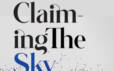 Claiming The Sky— Oudarjya Pramanik.