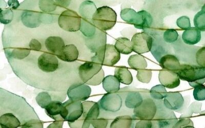 Sheep— Dr. Indira Dangi