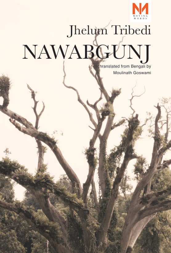 Nwababganj