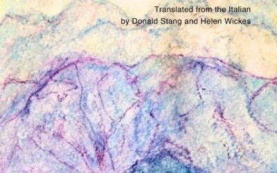 A Review of ‘The Grace of My Home’ by Julio Monteiro Martins— Amanita Sen and Barid Baran