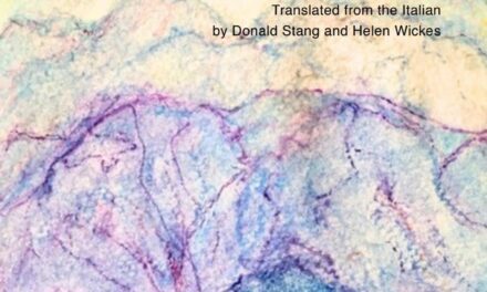 A Review of ‘The Grace of My Home’ by Julio Monteiro Martins— Amanita Sen and Barid Baran