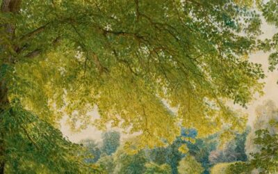 The Lindens’ Perfume— Luigi Cannillo