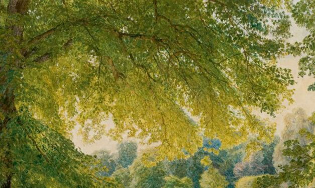 The Lindens’ Perfume— Luigi Cannillo