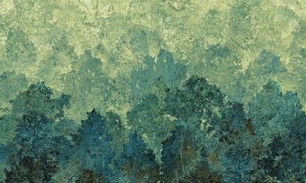 The Last Sun and Other Poems— Anamika Anu
