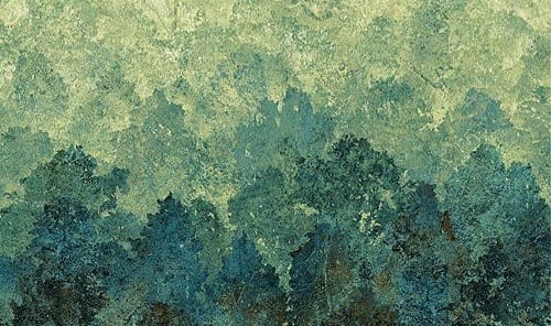 The Last Sun and Other Poems— Anamika Anu