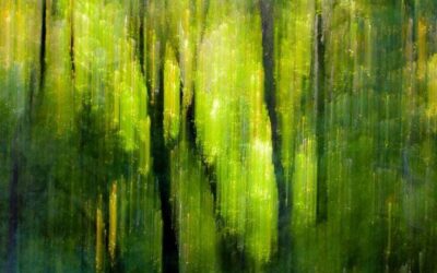 Regarding Love and Other Poems— Cahit Zarifoğlu