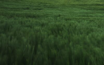 Solitary Atlas And Other Poems— Şükrü Erbaş