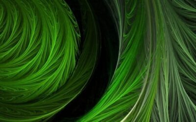 Literary Review of Arvind Krishna Mehrotra’s Anthology, “Book of Rahim and Other Poems”— Shrestha Mukherjee