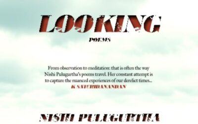 Looking by Nishi Pulugurtha— A Book Review