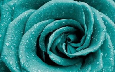 Two Faces— Sarah Thomas