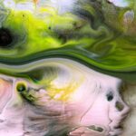 Photographing / Writing:  A testimony and a reflection— Liliana Grueff