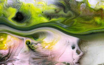 Photographing / Writing:  A testimony and a reflection— Liliana Grueff