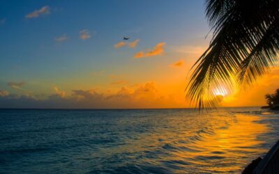 On Its Own; Radiance of Life— Deepti Gupta