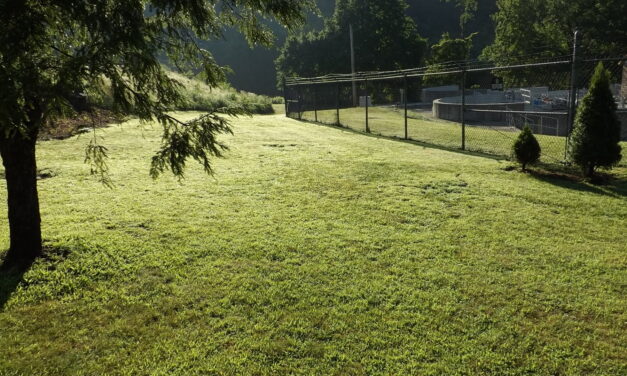 Summer revelations, XI & Other Poems— Davide Castiglione