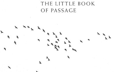 Like a Pearl Necklace: For Sabrina Mezzaqui— Franca Mancinelli